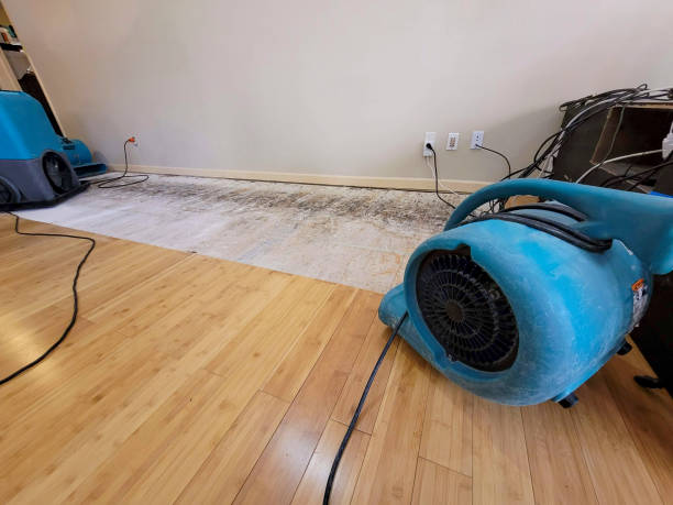Professional Water Removal technician working in Wheatland, WY